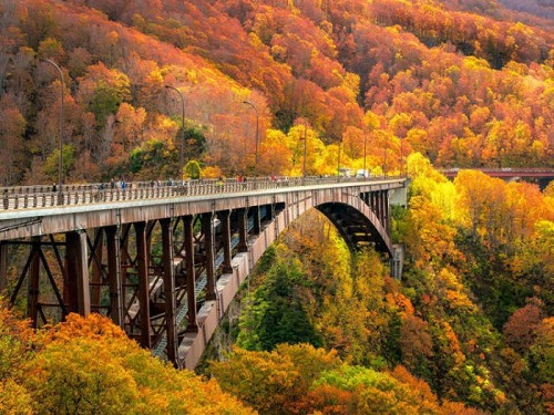 紅葉名所~城倉大橋